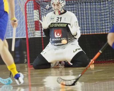 Preview of voucher design 