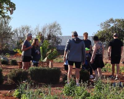 Preview of voucher design 